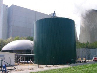 Biomasse-Anlage Neurath